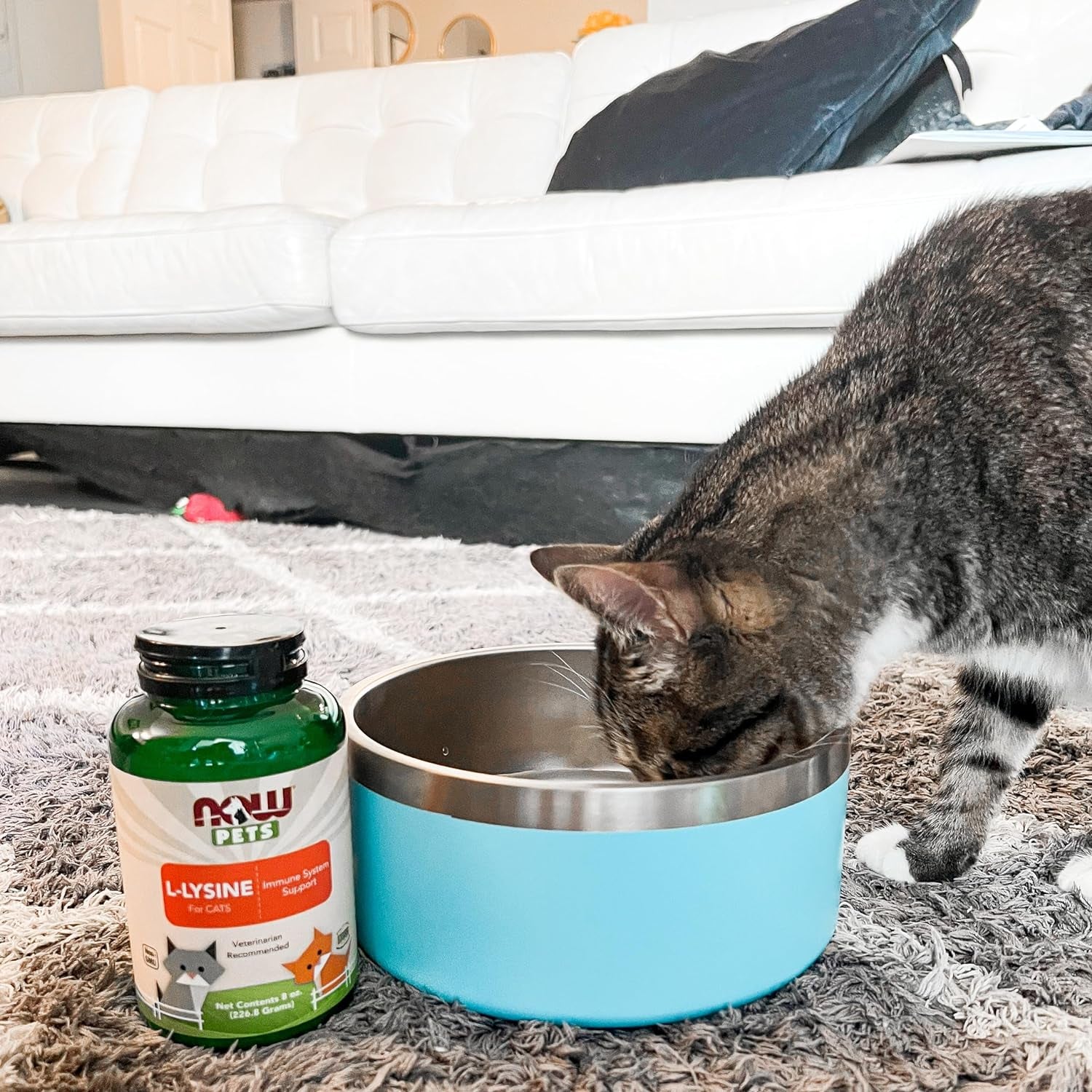 NOW Pet Health, Pet Relaxant Supplement, Formulated for Cats & Dogs, NASC Certified, 90 Chewable Tablets