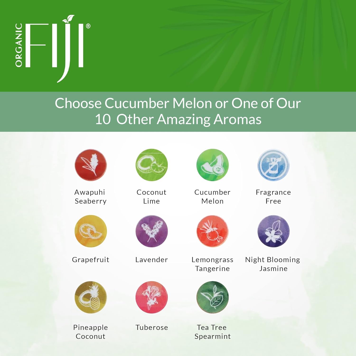 Coco Fiji Face & Body Lotion Infused with Coconut Oil | Lotion for Dry Skin | Moisturizer Face Cream & Massage Lotion for Women & Men | Pineapple Coconut 12 Oz, Pack of 3