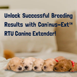 Dog Semen Enhancer for Canine Artificial Insemination - 20ML Ready-To-Use Formula, AI Breeding Essential, Enhance Dogs Fertility & Sperm Viability - All Breeds