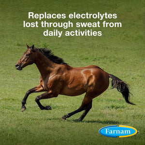 Farnam Apple Elite Horse Electrolyte Powder, Replaces Minerals Lost in Sweat during Exercise, Extreme Weather & Stressful Conditions, 5 Lb., 40 Day Supply