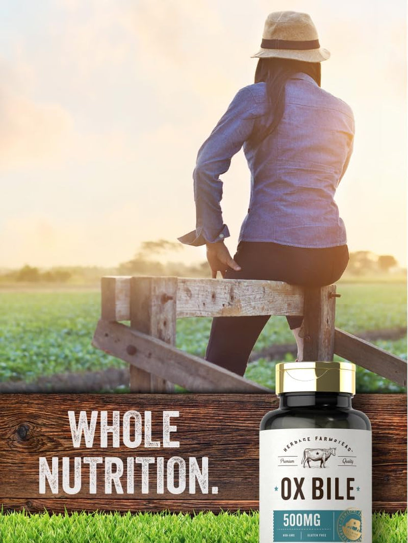 Carlyle Ox Bile Supplement | 500Mg | 60 Capsules | Digestive Enzyme | Non-Gmo & Gluten Free | by Herbage Farmstead