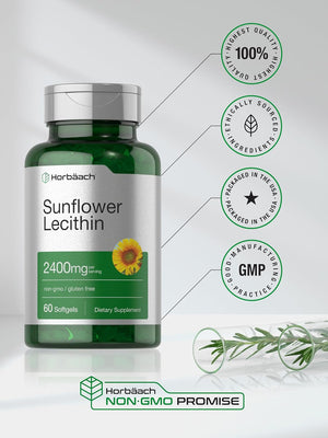 Horbäach Sunflower Lecithin 2400Mg | 60 Softgel Capsules | Naturally Occurring Phospholipids | Non-Gmo, Gluten Free Supplement |