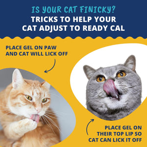 {Product Name} – {Primary Function} – USA-imported supplement delivered in Australia delivery through Australia Post