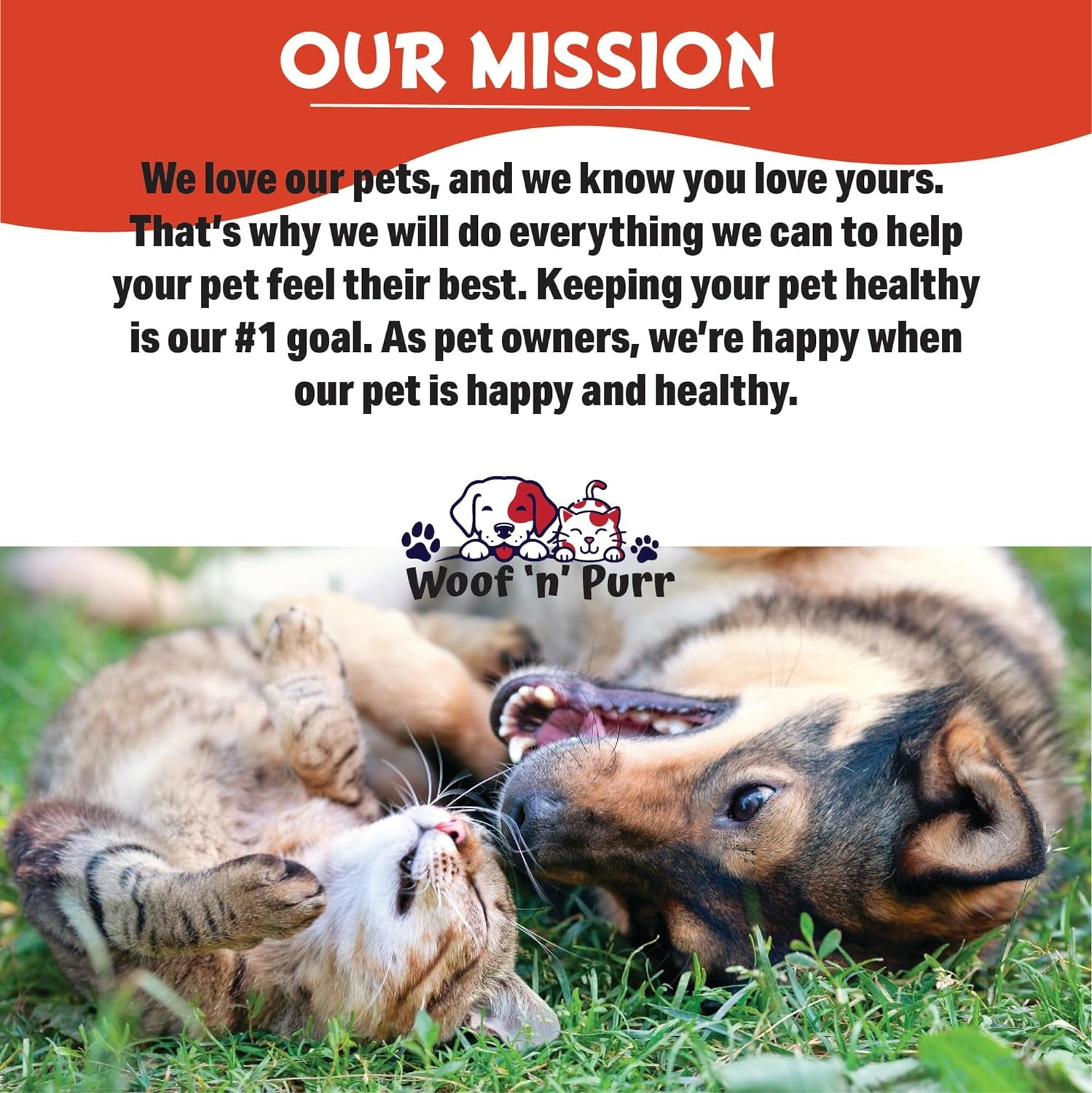 Natural Cat Antibiotic - Antibiotics for Cats - Pet Antibiotics - Cat Antibiotics - Cat Allergy Relief for Cats - Antibiotic for Cats - Cat UTI Antibiotics - 1 Fl Oz: Roast Chicken Flavor