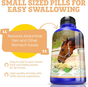 All-Natural Horse Colic Support - Reduces Abdominal Pain and Other Stomach Issues - Supplements for Horses - Homeopathic & Highly Effective - 300 Tablets