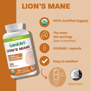 Certified Organic Lion'S Mane - Cognition & Memory - 120 Capsules - 2000Mg- Fruiting Body - Multiple Extraction - over 25% Beta-Glucans